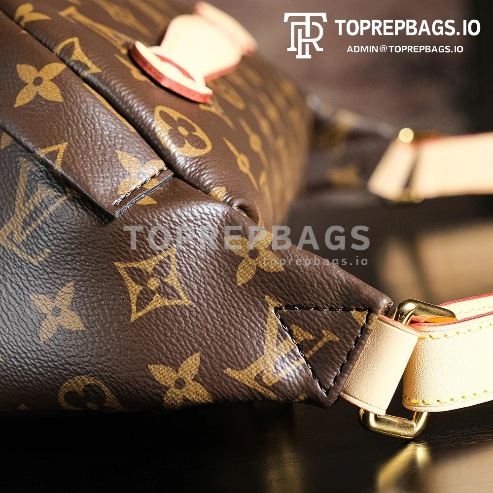 a1727438448144_7406 Louis Vuitton Bumbag in Brown