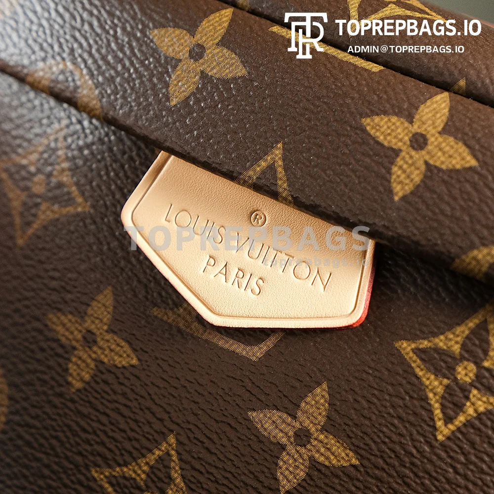 a1727438448146_1448 Louis Vuitton Bumbag in Brown