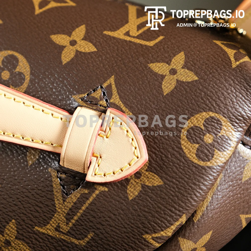 a1727438448147_4457 Louis Vuitton Bumbag in Brown