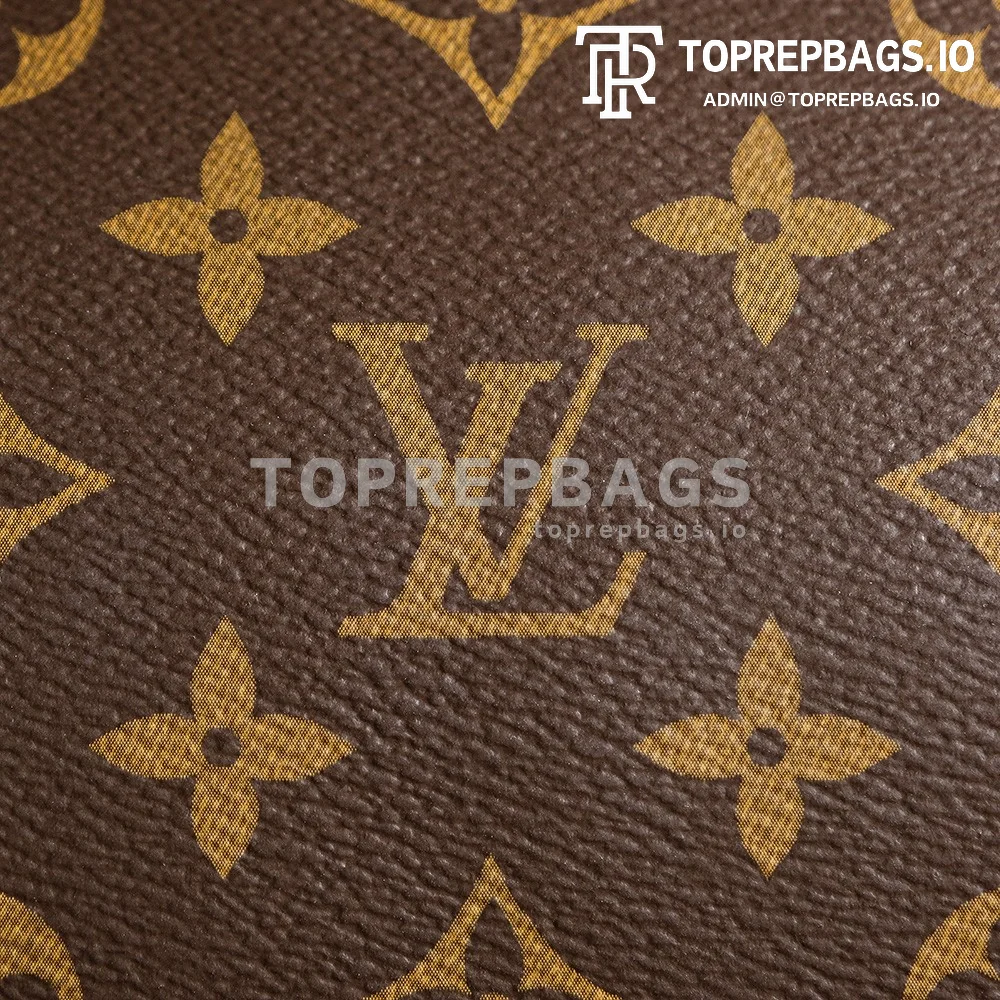 a1727438448195_7403 Louis Vuitton Bumbag in Brown