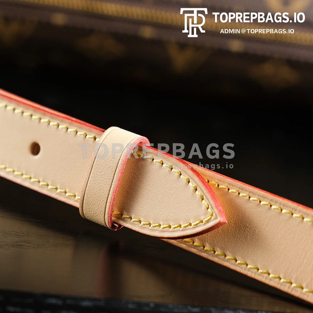 a1727438450907_2134 Louis Vuitton Bumbag in Brown