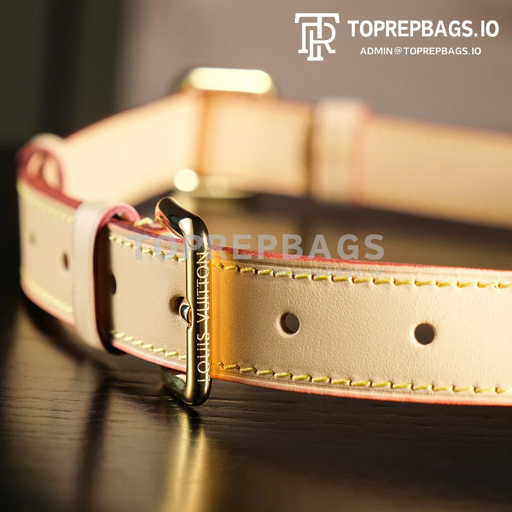 a1727438450912_5628 Louis Vuitton Bumbag in Brown