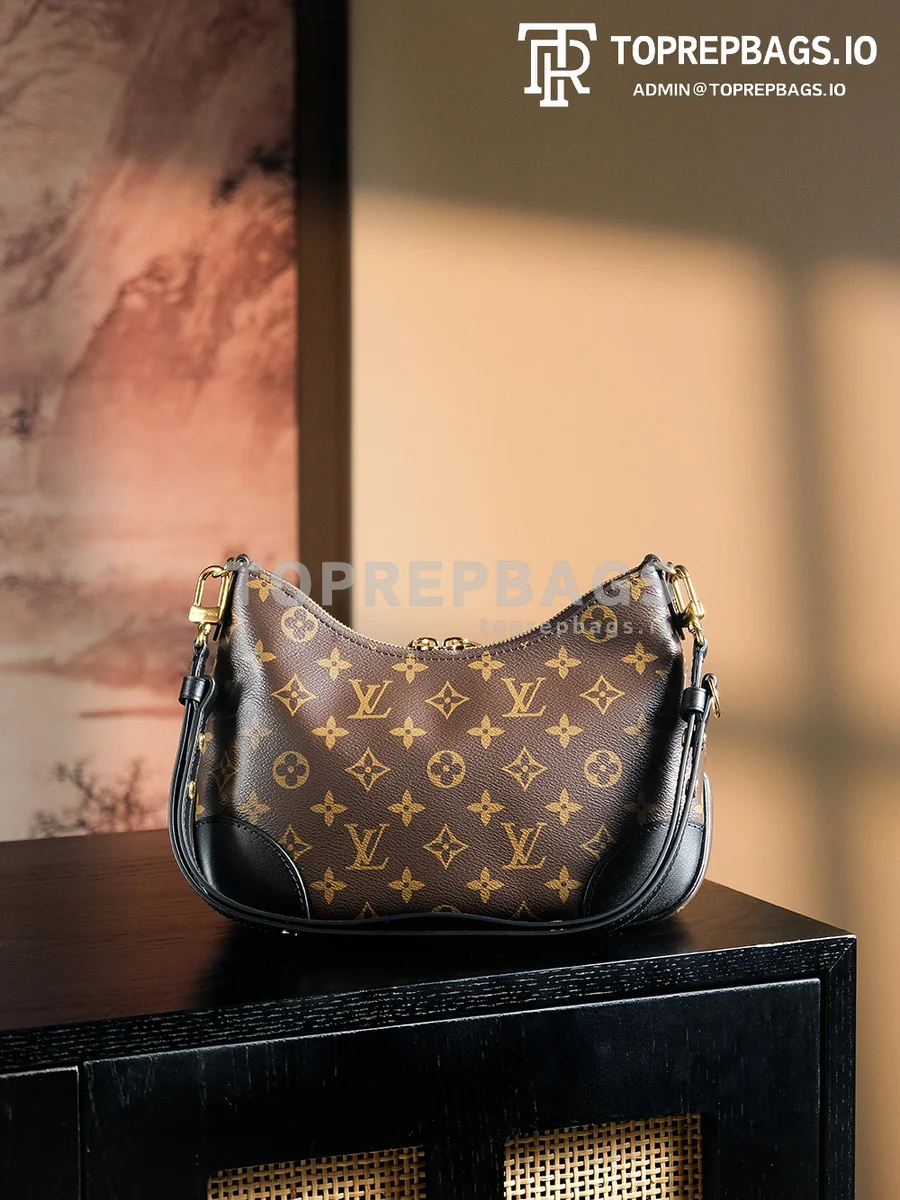 a1727691769703_2250 Louis Vuitton Boulogne Hobo in Brown