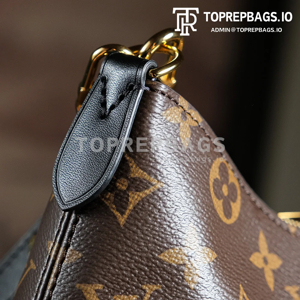 a1727691824015_5386 Louis Vuitton Boulogne Hobo in Brown