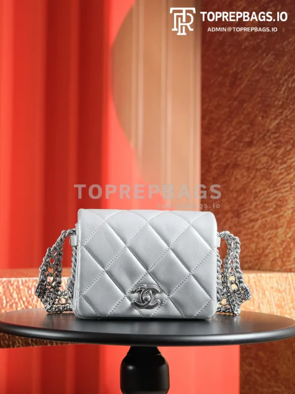 a1728133979712_8021 Chanel Handbag Hobo Lambskin Leather Silver-tone Hardware detailed product image