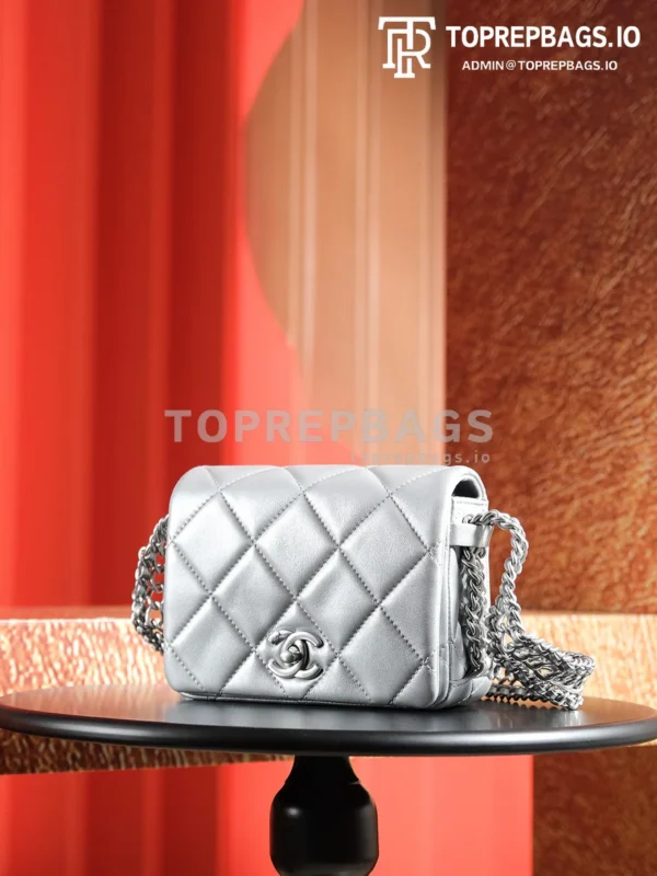 a1728133979725_5374 Chanel Handbag Hobo Lambskin Leather Silver-tone Hardware detailed product image