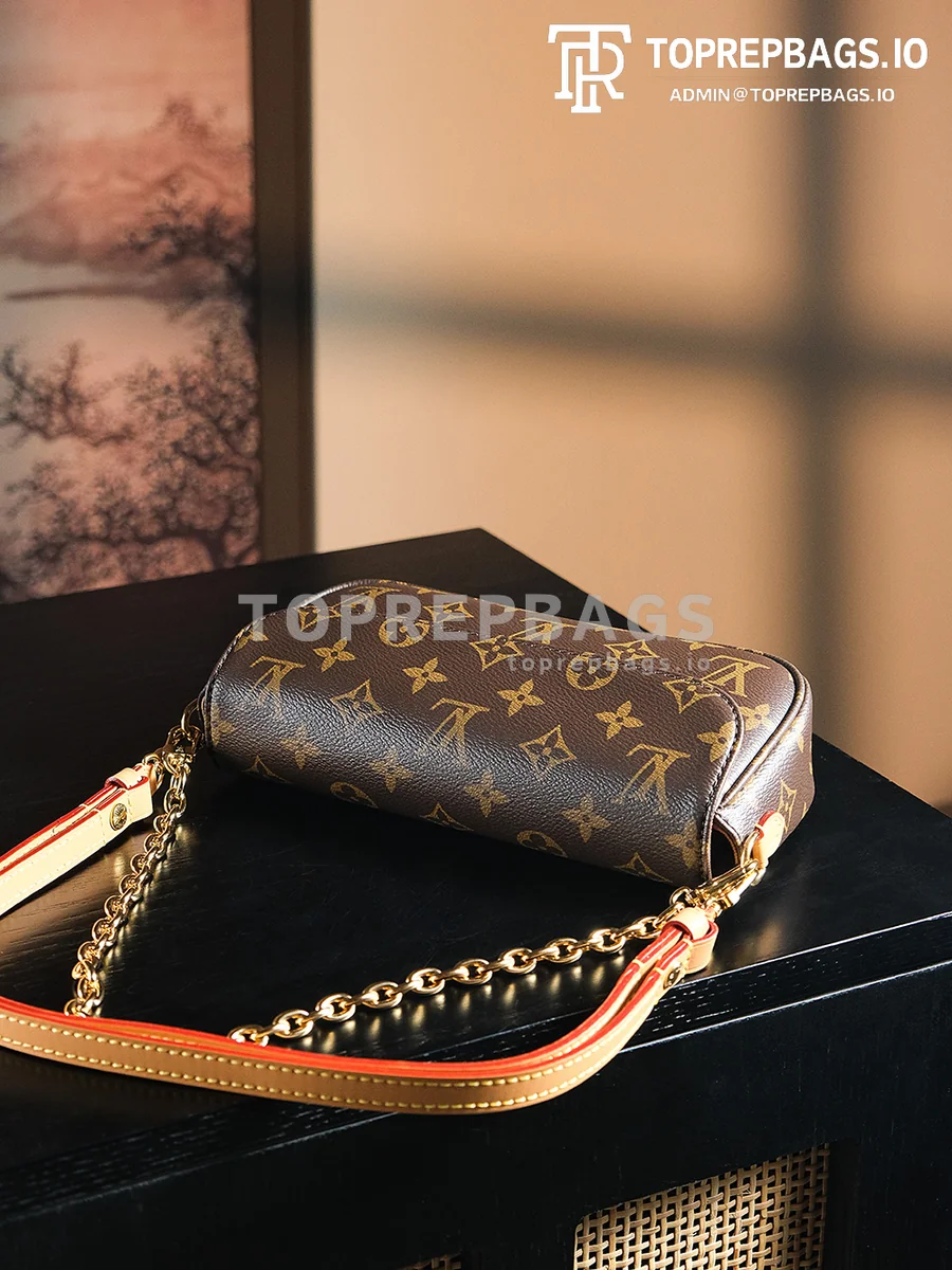 a1728641881132_2480 Louis Vuitton Wallet on Chain Ivy in Brown