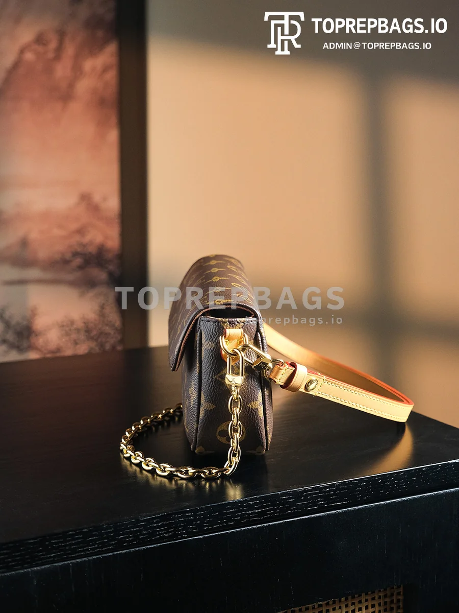 a1728641892119_1321 Louis Vuitton Wallet on Chain Ivy in Brown