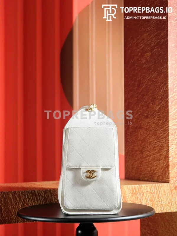 a1732170573402_0283 Chanel 25 Hobo in White
