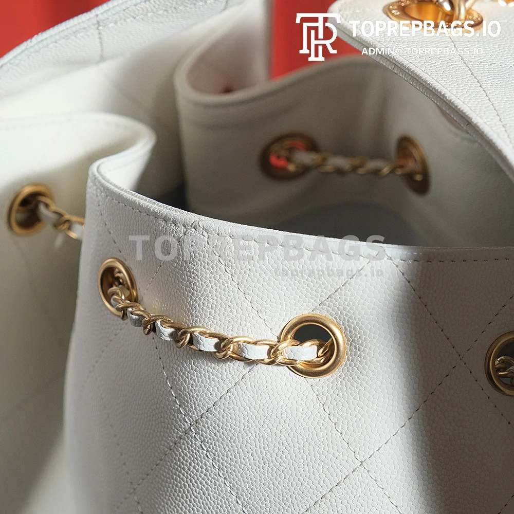 a1732170703467_0117 Chanel 25 Hobo in White
