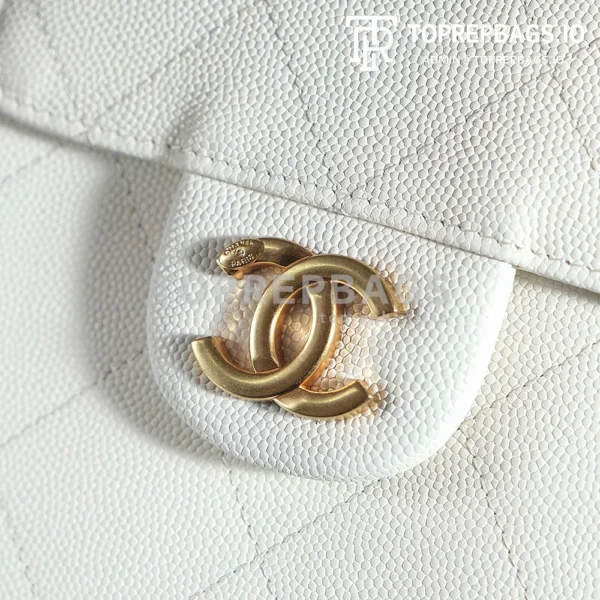 a1732170703472_0554 Chanel 25 Hobo in White