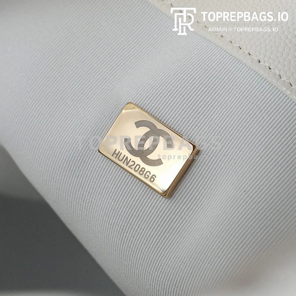 a1732170703475_5175 Chanel 25 Hobo in White