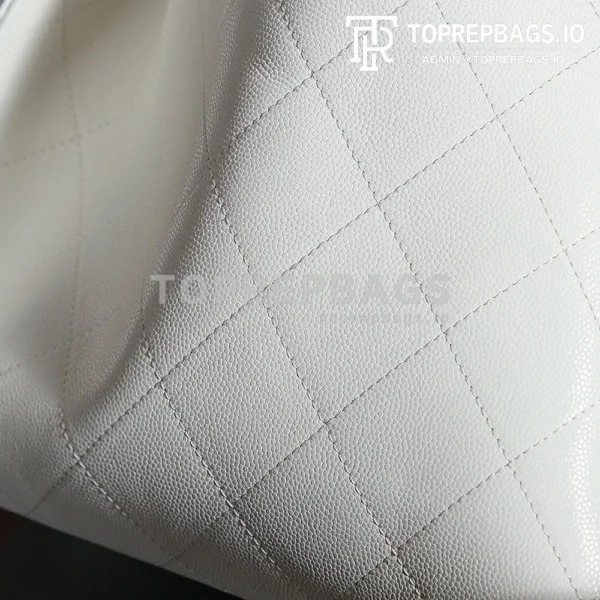 a1732170703492_7685 Chanel 25 Hobo in White