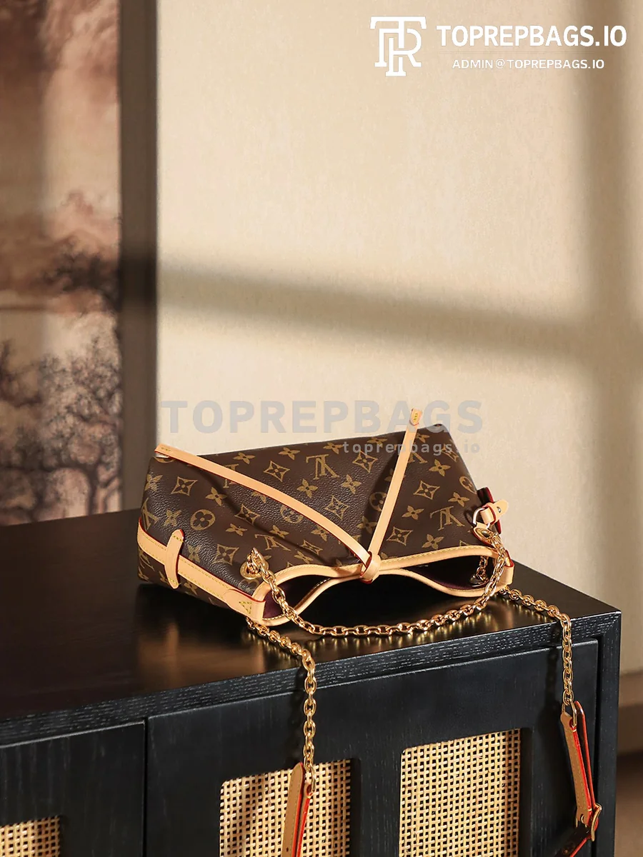 a1737354610211_8774 Louis Vuitton CarryAll in Brown