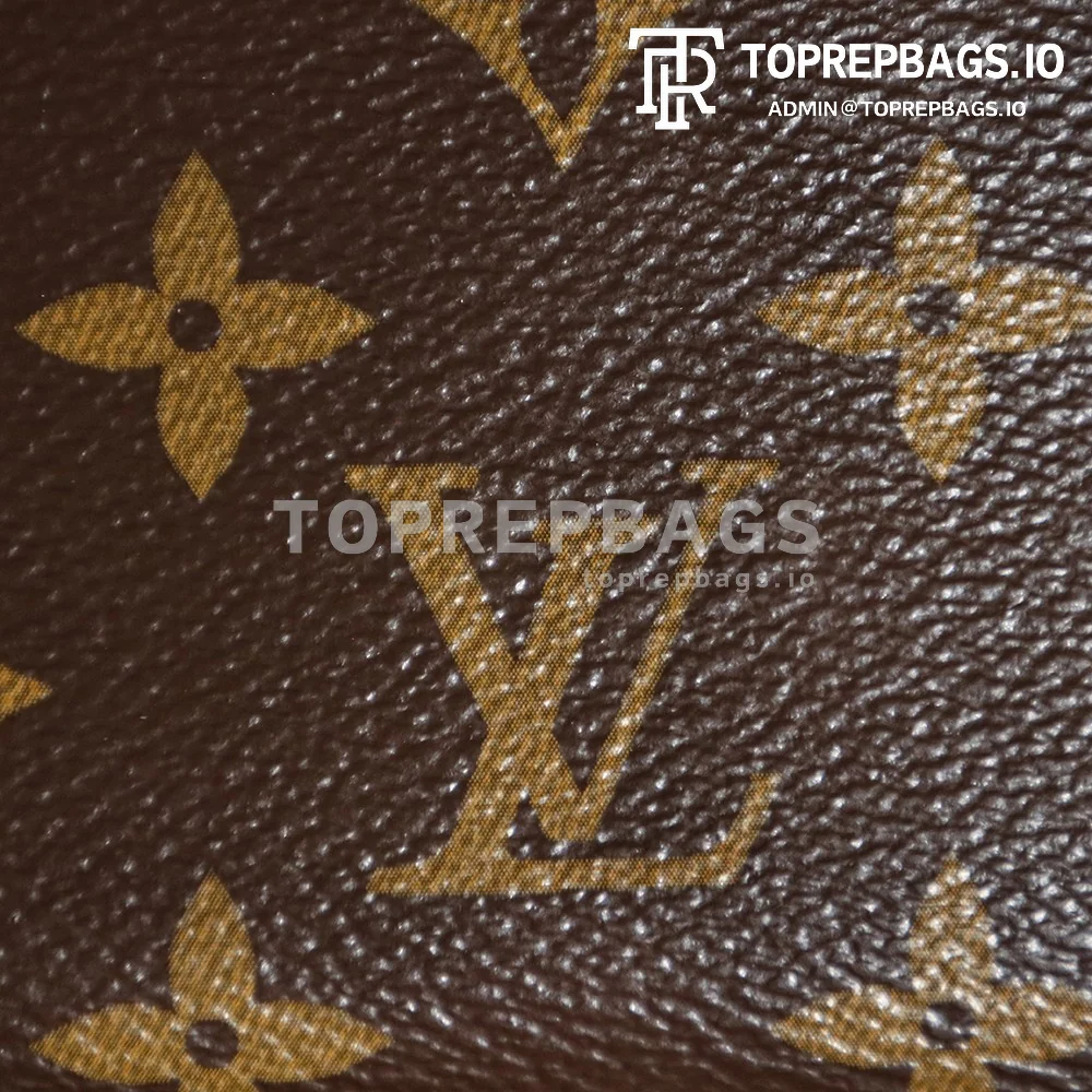 a1737354706032_0784 Louis Vuitton CarryAll in Brown