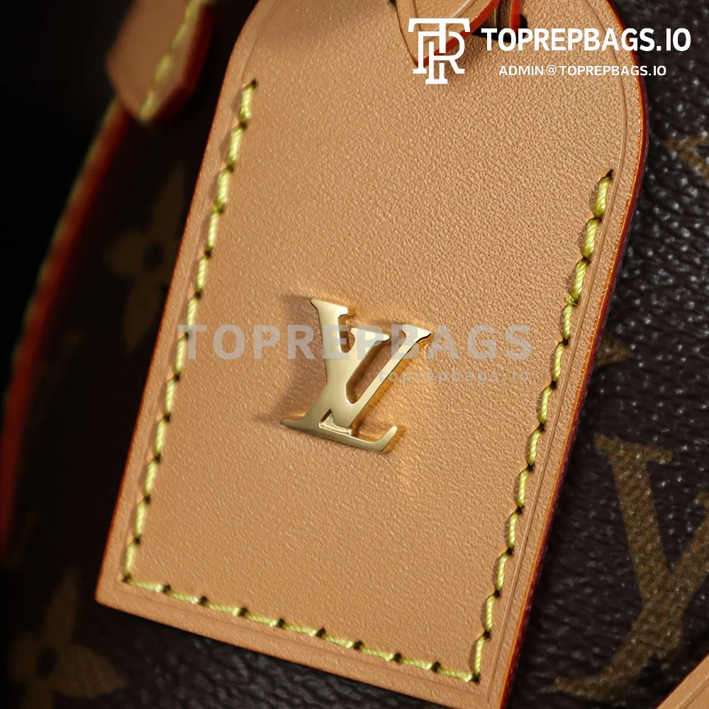 a1737354706042_8764 Louis Vuitton CarryAll in Brown