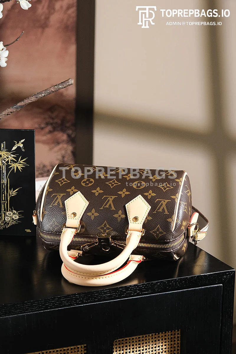 a1743498815110_3876 Louis Vuitton Speedy in Brown