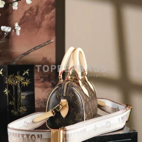 Louis Vuitton Speedy in Brown