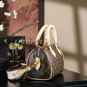Louis Vuitton Speedy in Brown