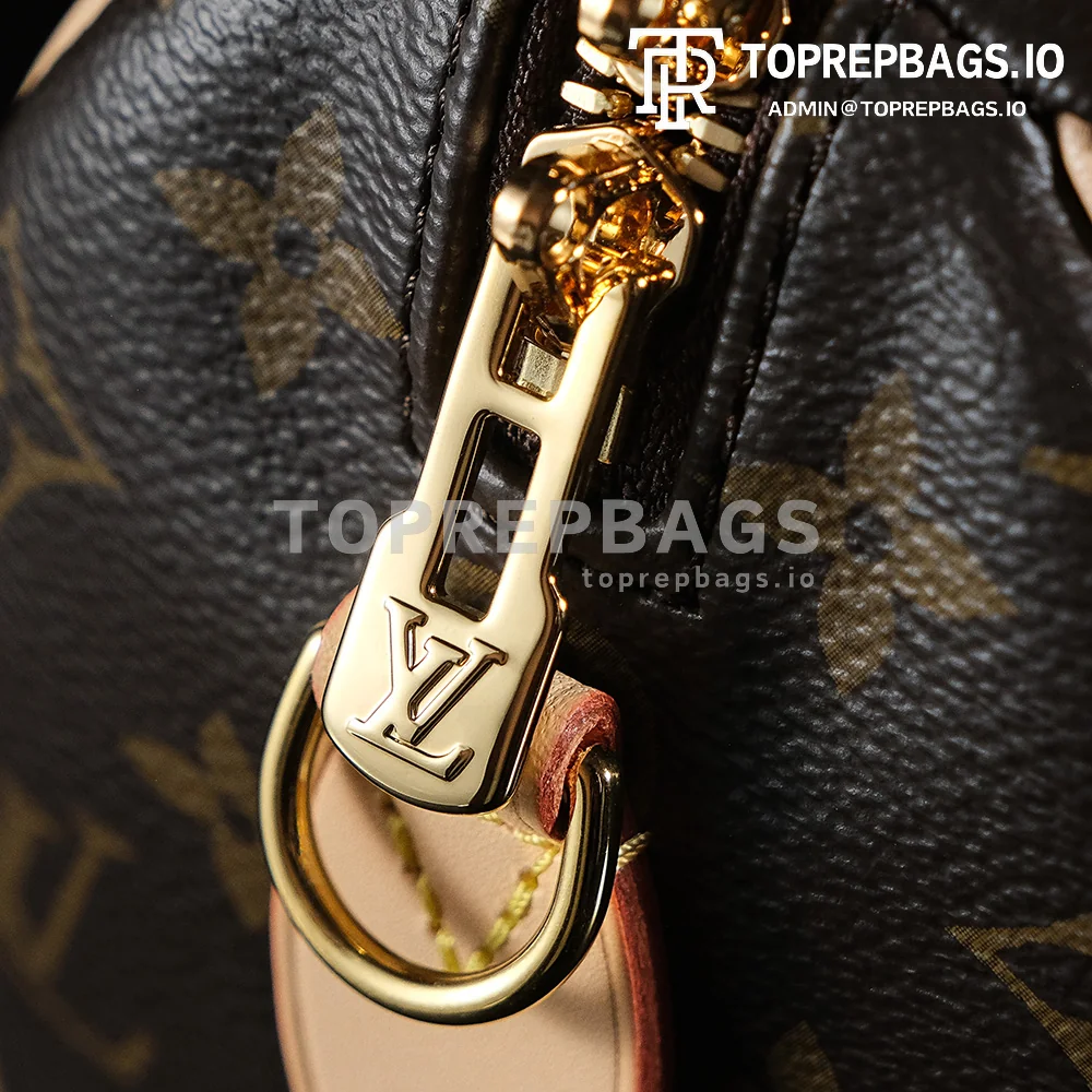 a1743499305340_1551 Louis Vuitton Speedy in Brown