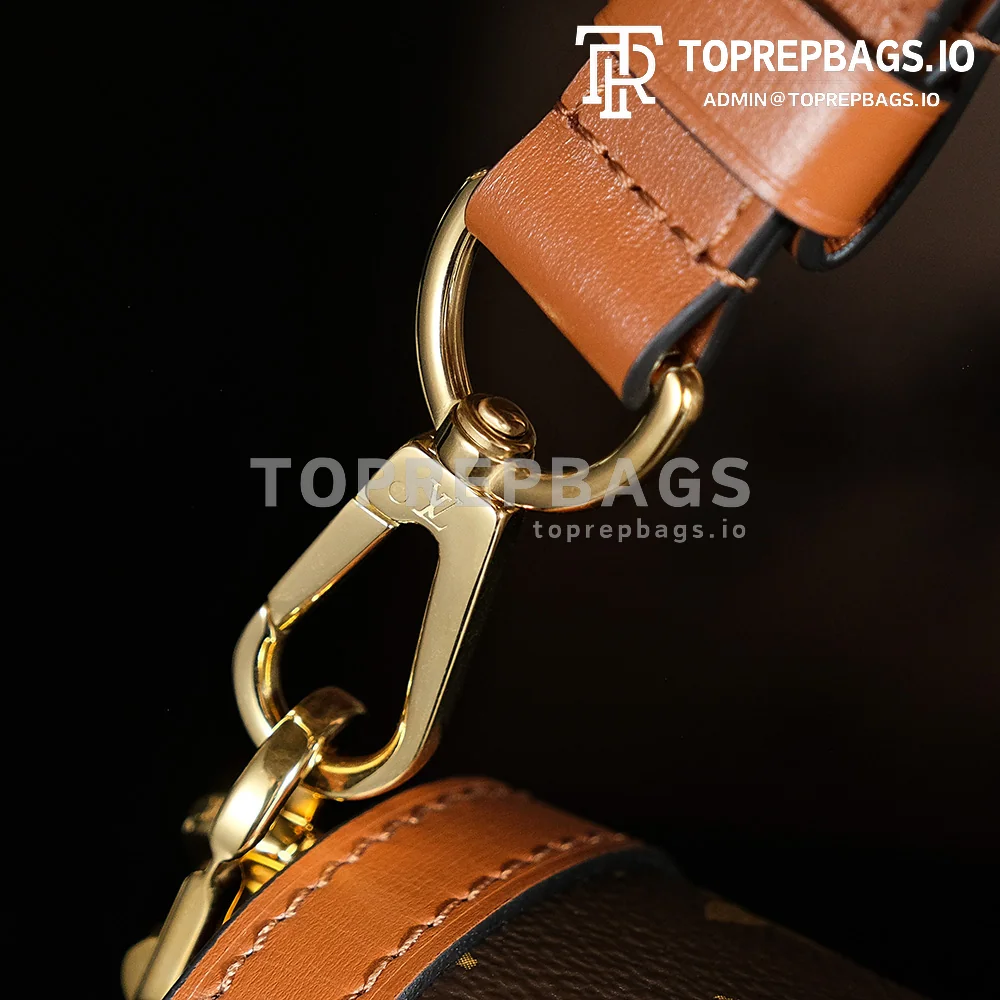 a1745829555105_0381 Louis Vuitton Dauphine MM in Brown