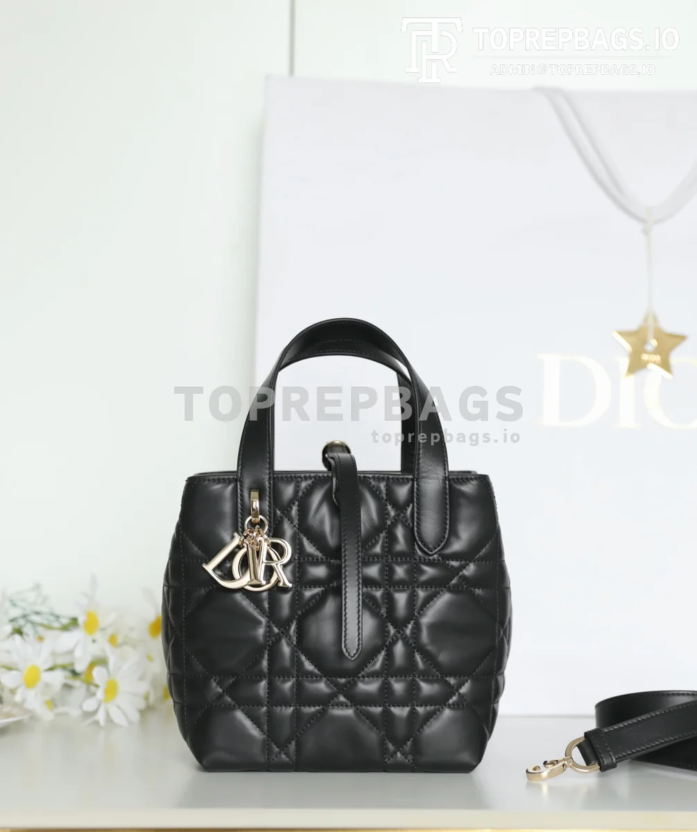 cmp_i1747110642614_8486_0_1 Dior Toujours Vertical in Black