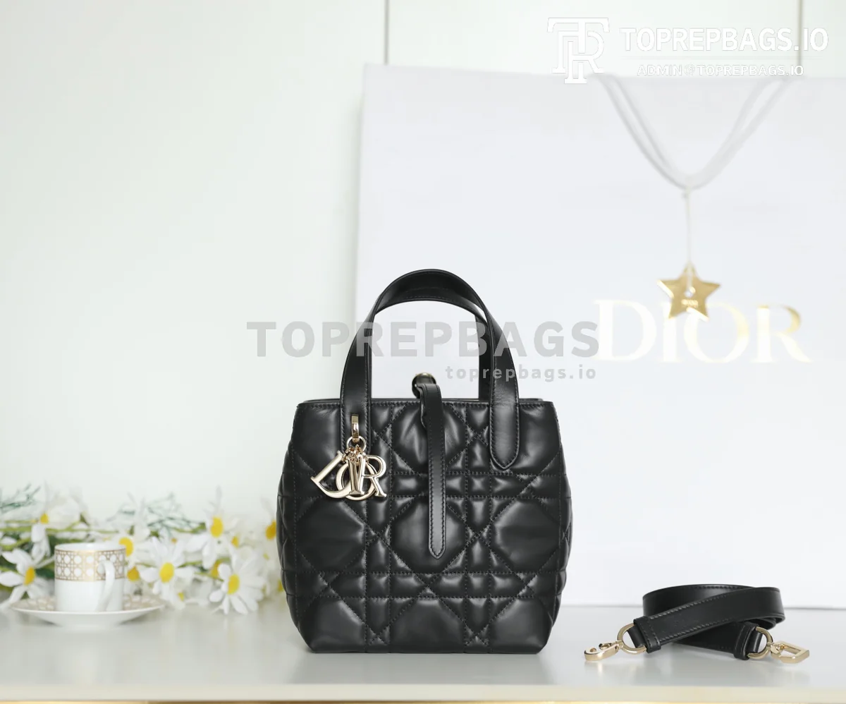 cmp_i1747110651480_7470_0_0 Dior Toujours Vertical in Black
