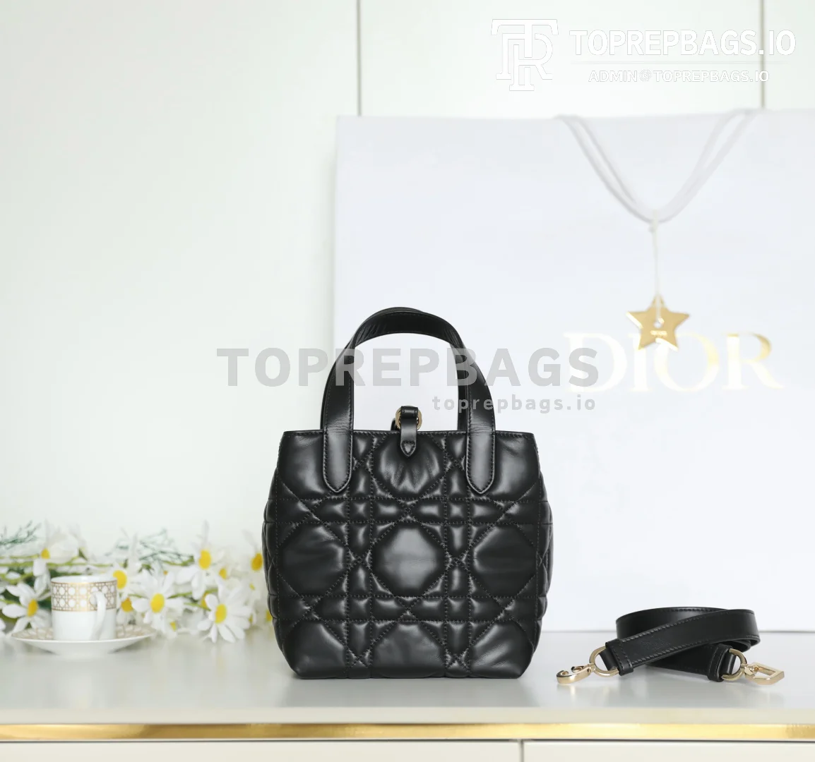 cmp_i1747110674421_9666_0_5 Dior Toujours Vertical in Black