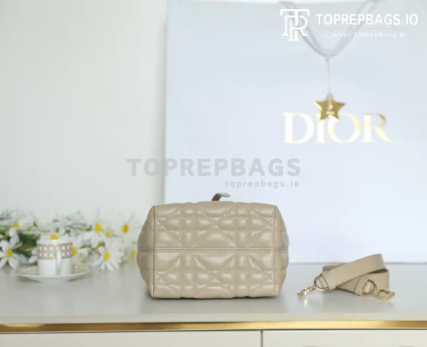 cmp_i1747110735802_1810_0_6 Dior Toujours in Beige