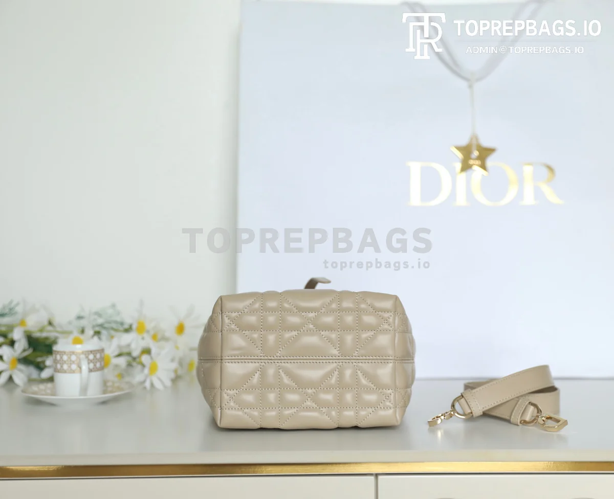 cmp_i1747110735802_1810_0_6 Dior Toujours in Beige