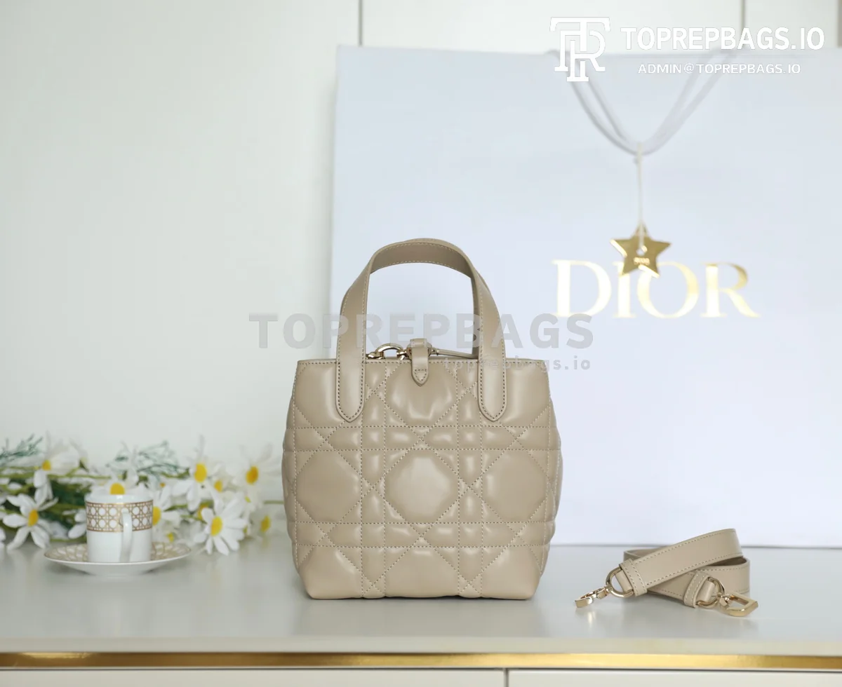 cmp_i1747110758309_1367_0_5 Dior Toujours in Beige