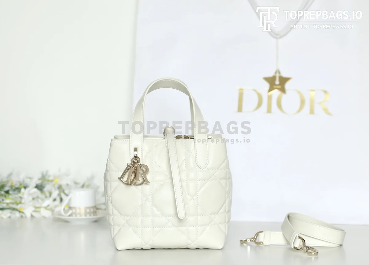 cmp_i1747110877679_9165_0_0 Dior Toujours in White