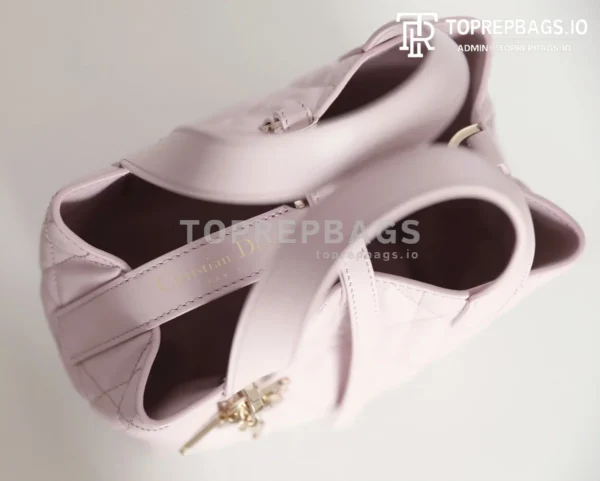 cmp_i1747111016478_9473_0_3 Dior Toujours Vertical in Pink