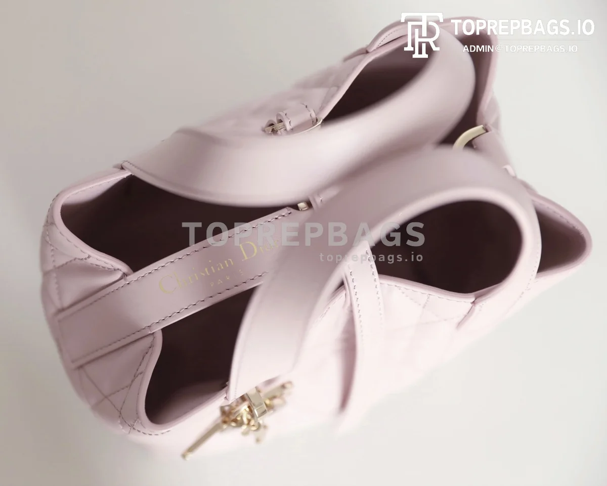 cmp_i1747111016478_9473_0_3 Dior Toujours Vertical in Pink