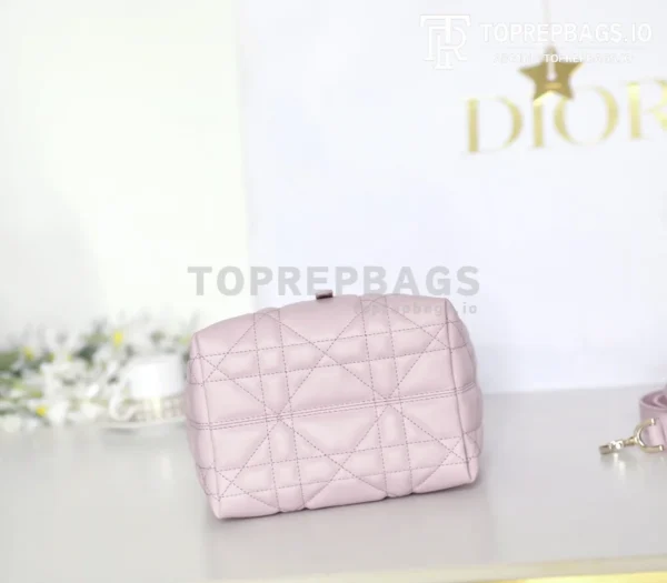 cmp_i1747111016494_7536_0_6 Dior Toujours Vertical in Pink