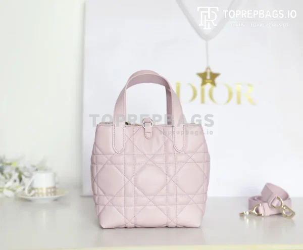 cmp_i1747111048845_4031_0_5 Dior Toujours Vertical in Pink