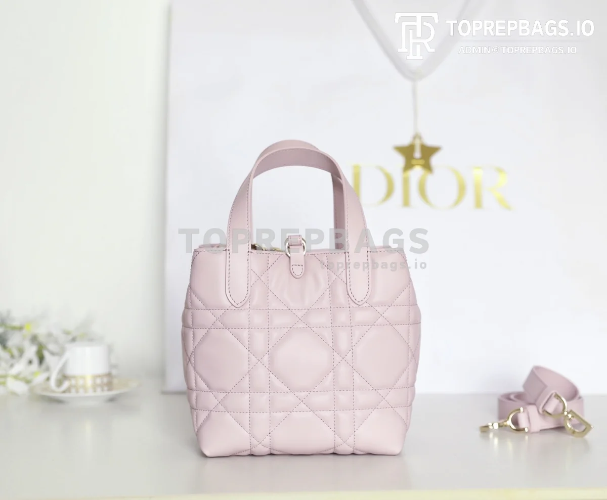 cmp_i1747111048845_4031_0_5 Dior Toujours Vertical in Pink
