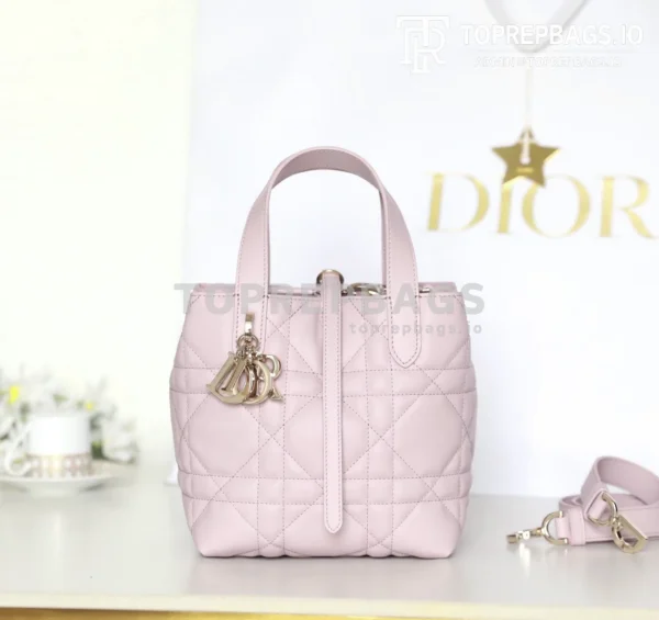 cmp_i1747111048846_7204_0_1 Dior Toujours Vertical in Pink