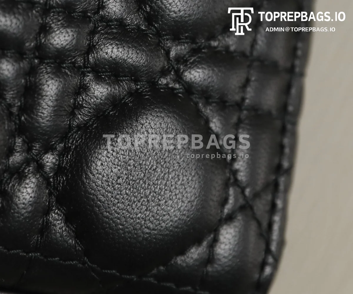 cmp_i1747194902575_3036_0_4 Dior Lady Dior in Black