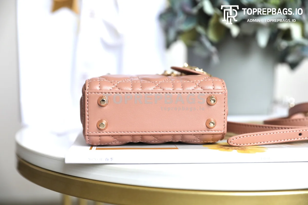 cmp_i1747195373479_6084_0_7 Dior Lady Dior in Pink