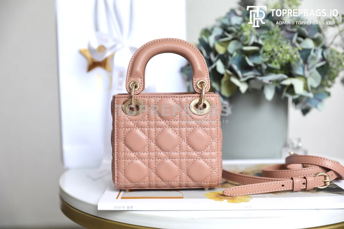 cmp_i1747195379791_9565_0_3 Dior Lady Dior in Pink