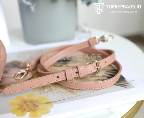 cmp_i1747195404828_7811_0_6 Dior Lady Dior in Pink