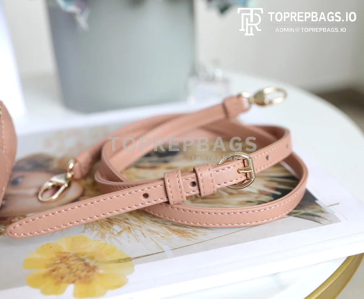 cmp_i1747195404828_7811_0_6 Dior Lady Dior in Pink