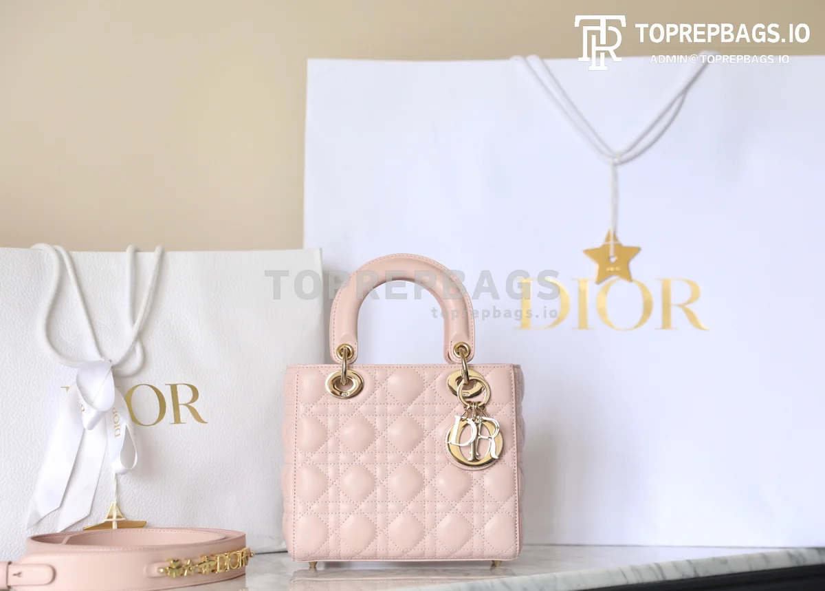 cmp_i1747196799831_3236_0_0 Dior Lady Dior in Pink