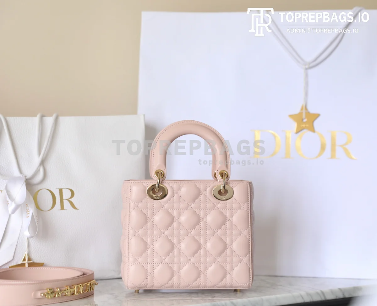 cmp_i1747196799836_3231_0_5 Dior Lady Dior in Pink