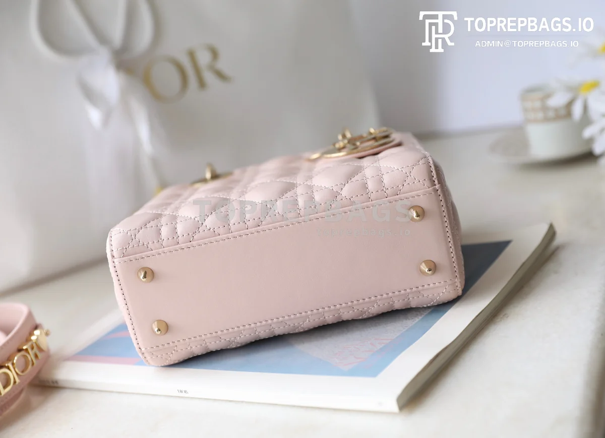 cmp_i1747196800112_3444_0_6 Dior Lady Dior in Pink