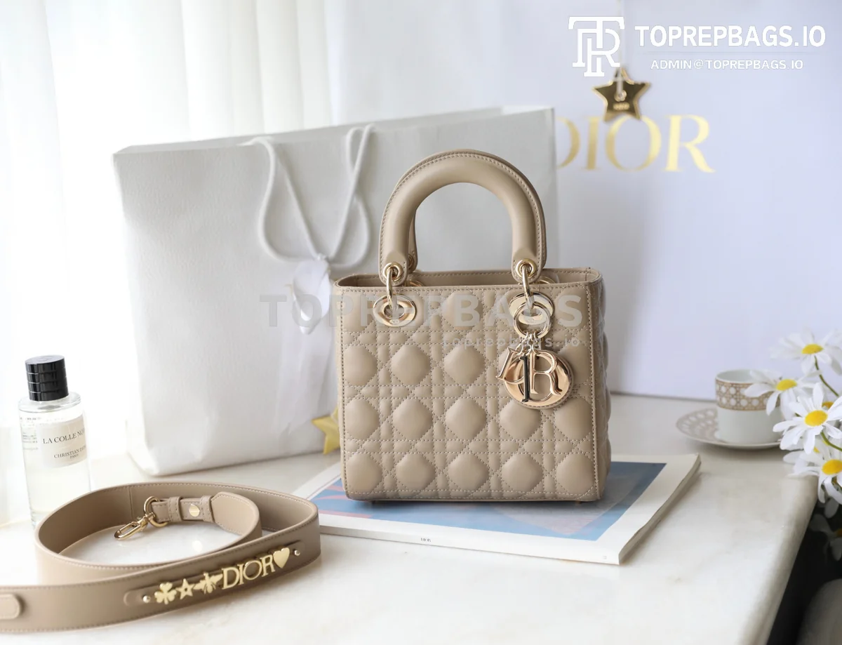 cmp_i1747196857031_6134_0_0 Dior Lady Dior in Khaki