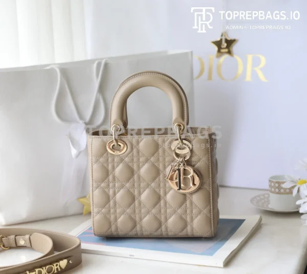 cmp_i1747196857031_8574_0_1 Dior Lady Dior in Khaki
