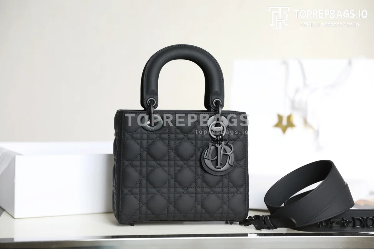 cmp_i1747196990168_3541_0_1 Dior Lady Dior in Black
