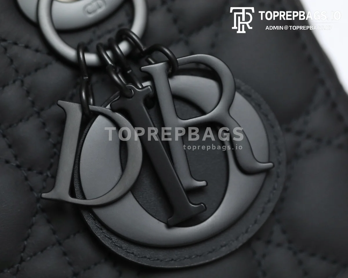 cmp_i1747196992886_8740_0_4 Dior Lady Dior in Black
